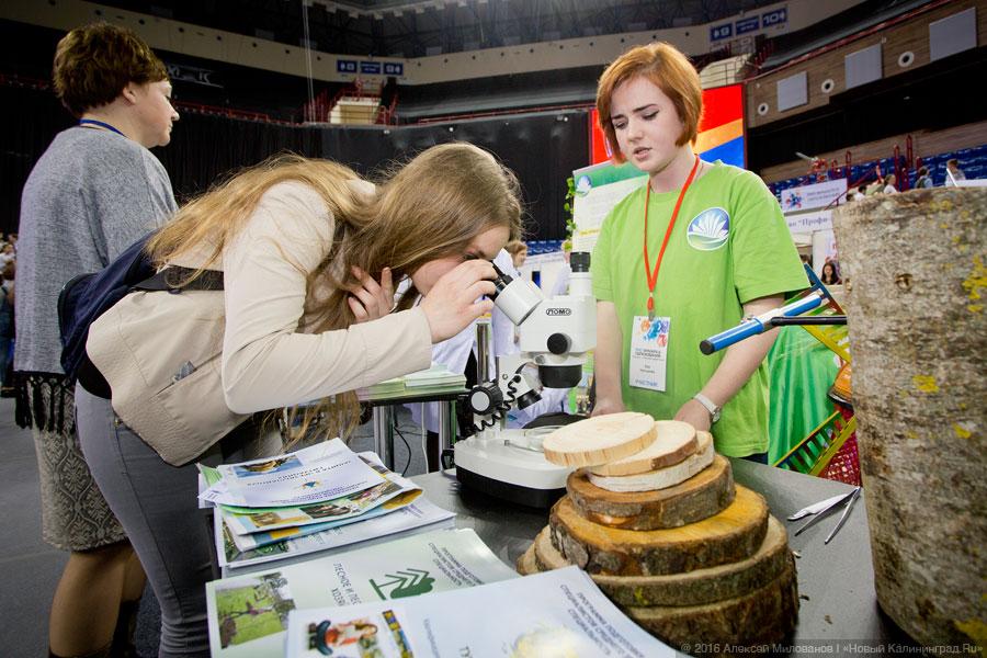 Жизнь как главный проект: выставка «PRO Ярмарка образования» в Калининграде