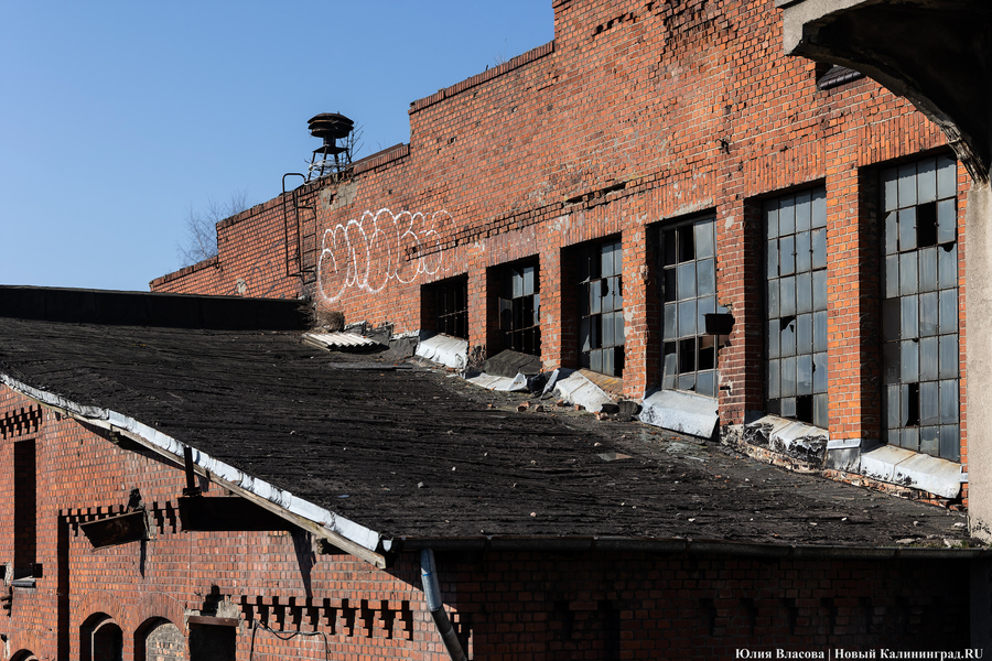 След Розенау: как выглядит заброшенный мясокомбинат на Аллее Смелых (фото)