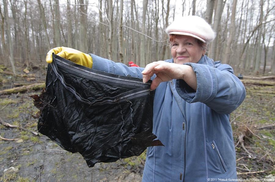 "Чистый лес: 115 на 40": фоторепортаж "Нового Калининграда.Ru" 