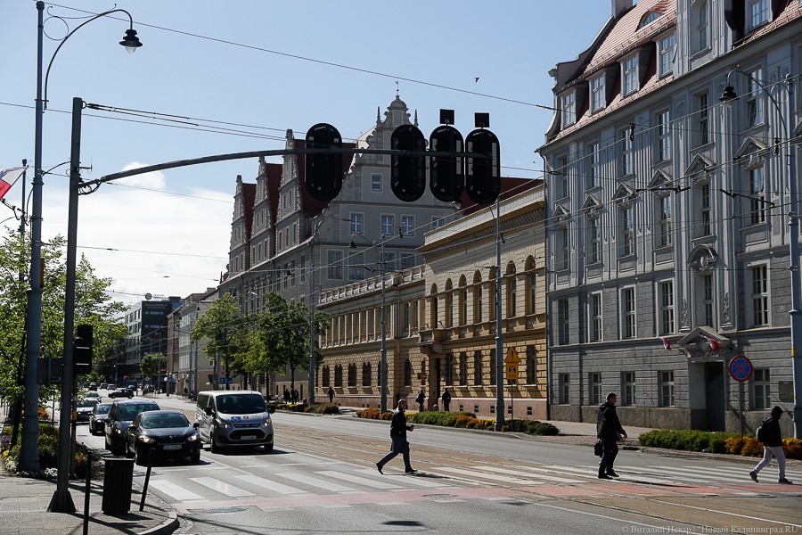 Из Гданьска в Калининград: FlixBus впервые запускает рейсы в Россию