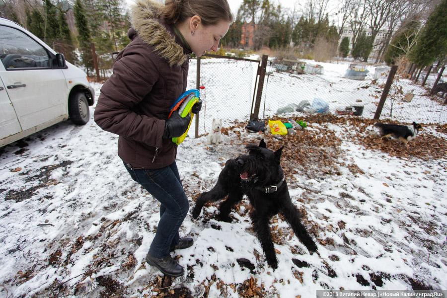 «Праздник для собак»: фоторепортаж из Ботанического сада