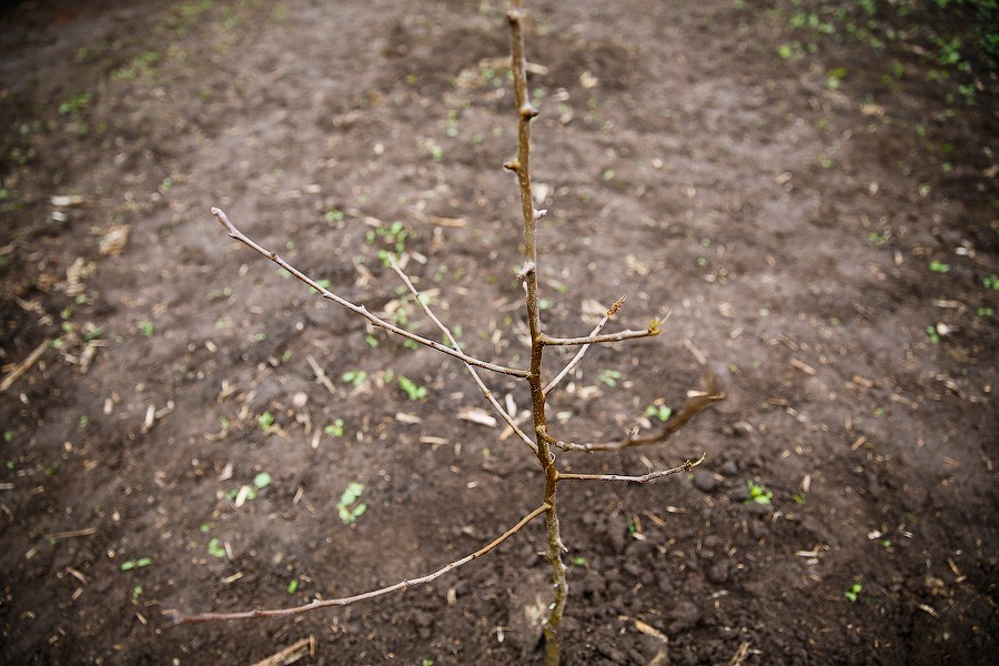 Алиханов: компенсации за землю спасли многодетные семьи от ипотечного банкротства
