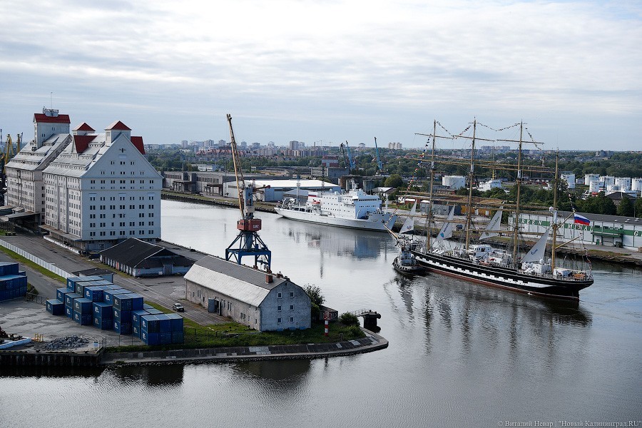 Антисептики вместо родственников: встреча «Крузенштерна» в порту Калининграда (фото)