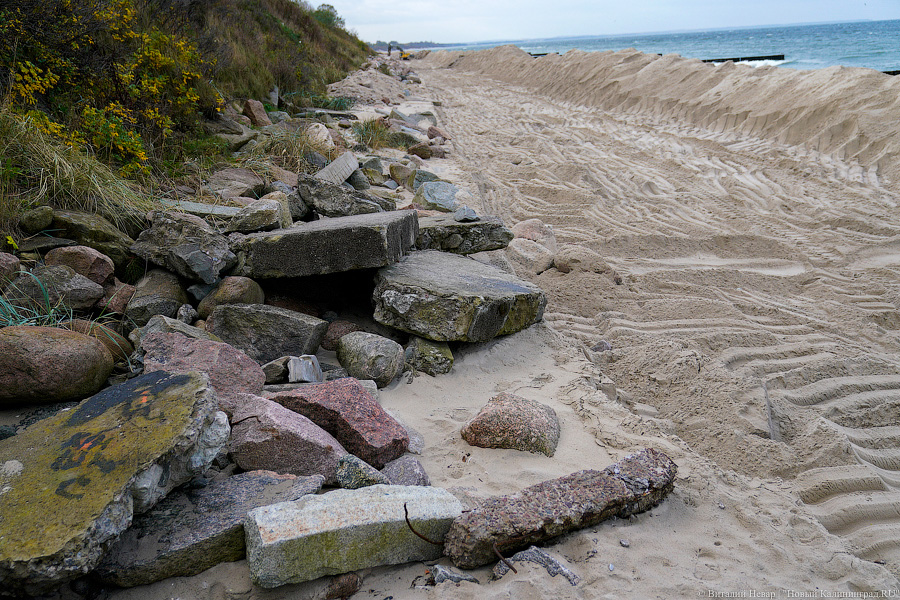 От «Нептуна» до кемпинга: в Зеленоградске укрепляют 1,5 км морского побережья (фото)