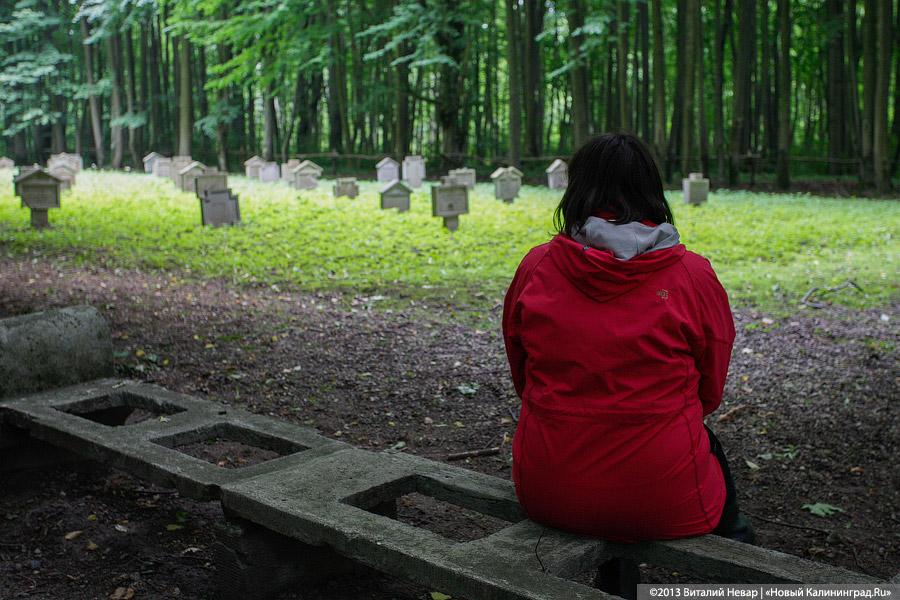 По следам Первой мировой: захоронение в пос. Совхозное Нестеровского района