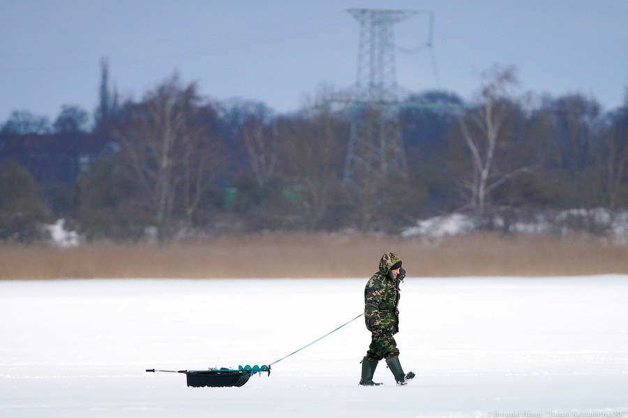 Сноукайтеры вышли на Калининградский залив. Посмотрите, как это красиво