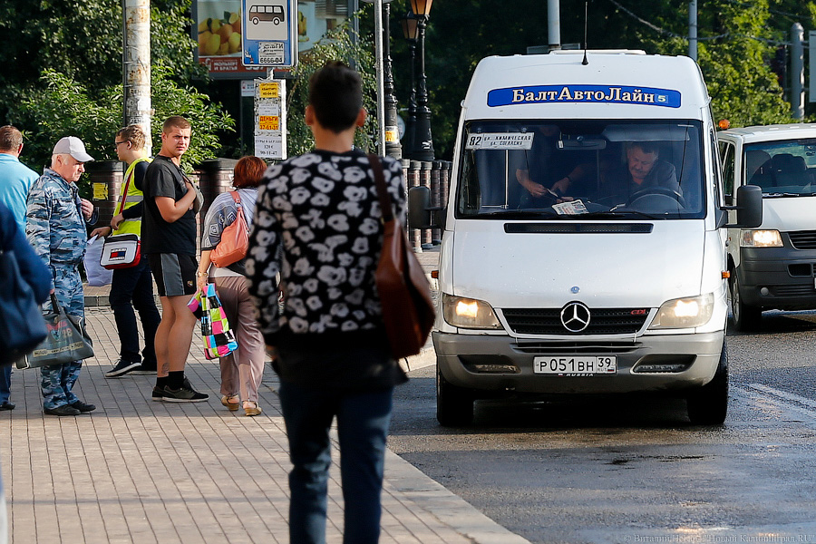 Неуловимый мститель: хроника борьбы мэрии с пошедшим ва-банк «БалтАвтоЛайном»