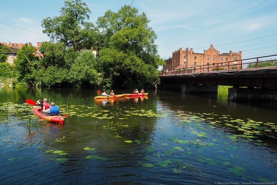 Фото — Виталий Невар, «Новый Калининград»