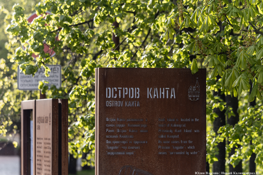 Город Канта: фоторепортаж к 300-летию ученого