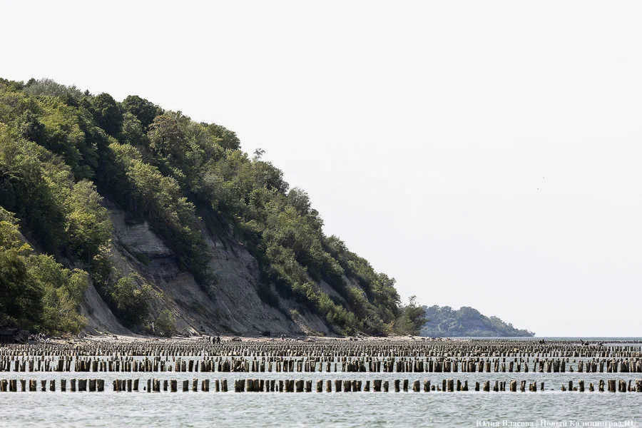 В минстрое рассказали, как обстоят дела с берегоукреплением после ухода «Геоизола»