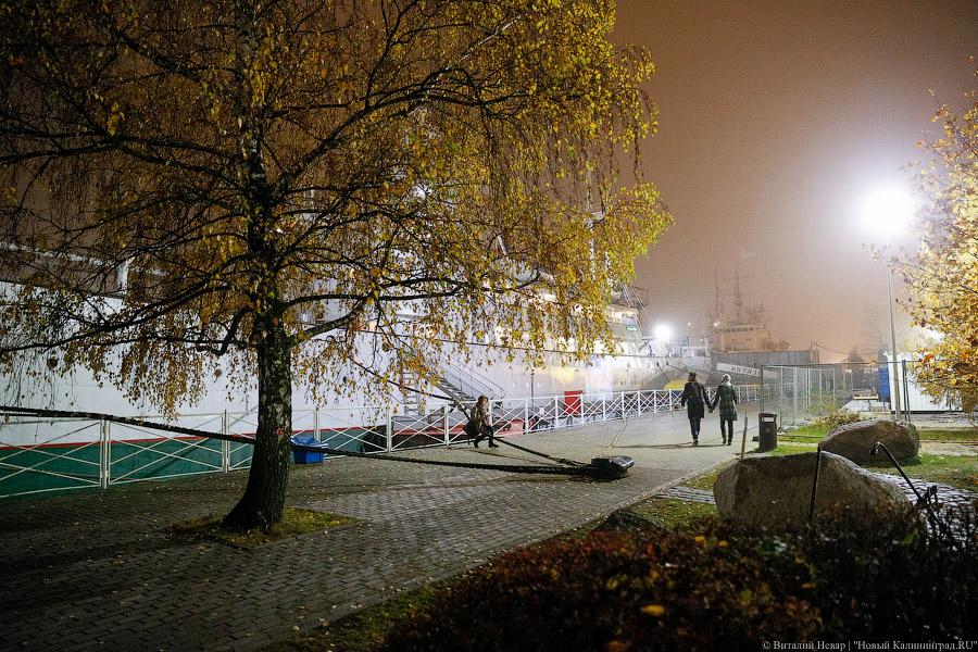 Без очередей и огненного шоу: как в Калининграде прошла «Ночь искусств»