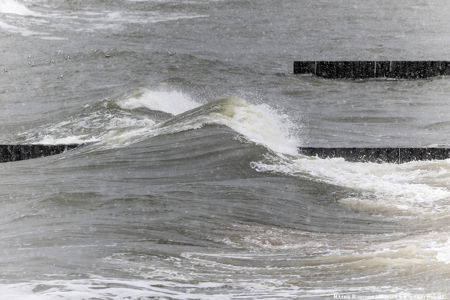 Штормовая вселенная: как циклон «Золтан» накрыл Зеленоградск (фото)