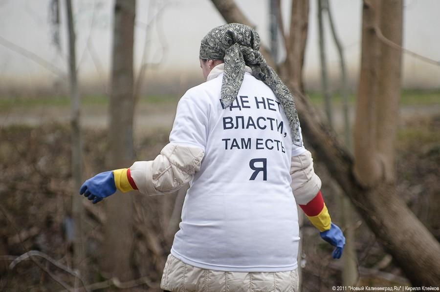 "Чистый лес: 115 на 40": фоторепортаж "Нового Калининграда.Ru" 