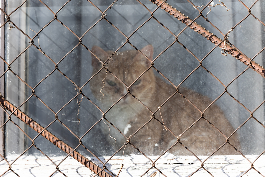 Погода в Калининградской области 26 октября