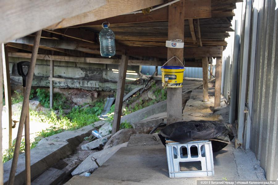 Позабыто, позаброшено: что скрывается за забором «Сердца города» у Дома Советов