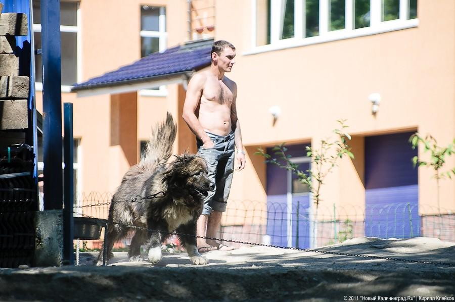 «Ты кем засыпанный, ручей?»: репортаж «Нового Калининграда.Ru»