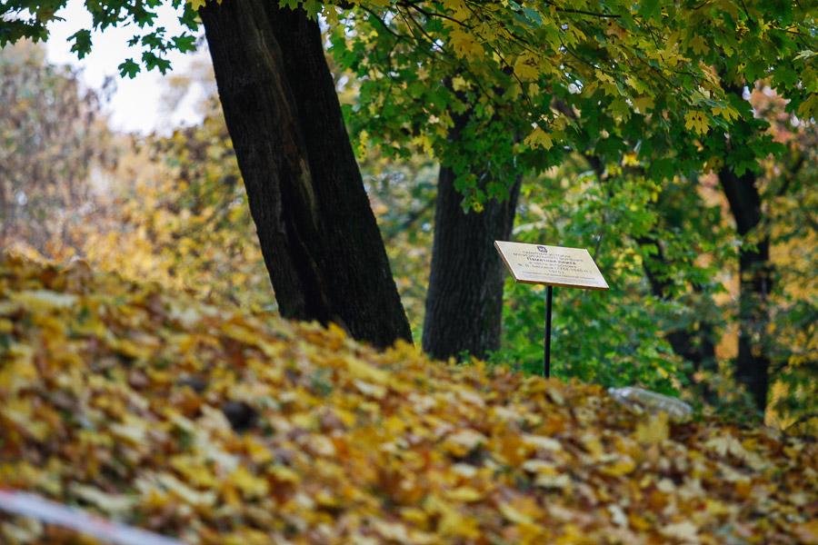 Бессель с ними: основание холма, где была Кенигсбергская обсерватория, срыли экскаваторы