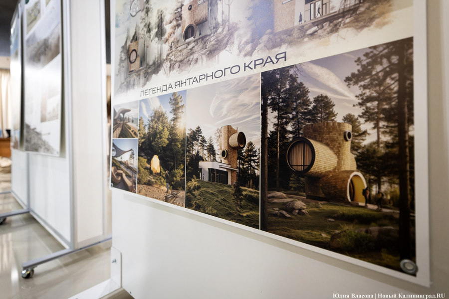 «Гнёзда» на Филинской бухте: проект из Москвы получил первую премию «ЭкоБерега» (фото)