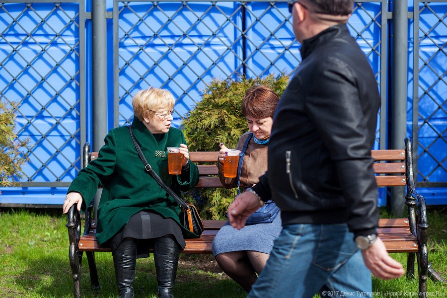 Салаке и корюшке на заметку: как прошёл День селёдки в Калининграде