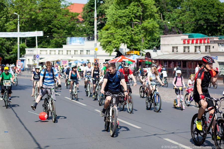 Власти Правдинска выделяют 1,7 млн на проект велодорожки в сторону Железнодорожного