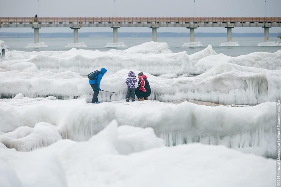 Недоморозило: холодам не удалось сковать льдом берег Балтийского моря