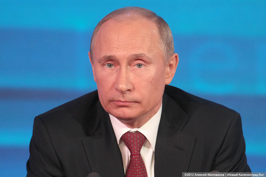 «Молодежка ОНФ» запустила на своем сайте генератор поздравлений для Путина