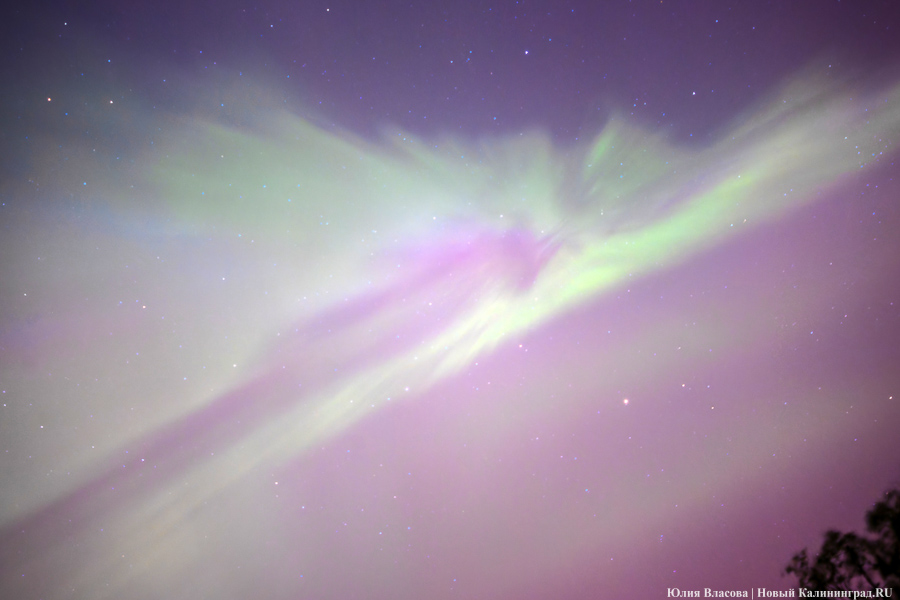 Дар Солнца: северное сияние над Калининградской областью (фото)