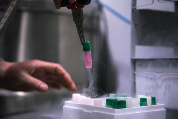 Уроки пандемии: интервью с директором НИИ «Вектор» Александром Семеновым