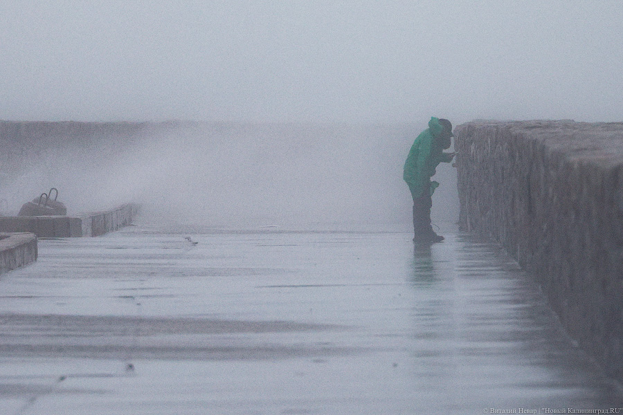 Что нам ветер: фоторепортаж из штормового Балтийска (фото)