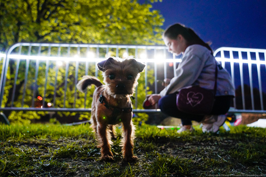 Избирательный COVID: как Музейная ночь стала праздником для одних и проблемой для других