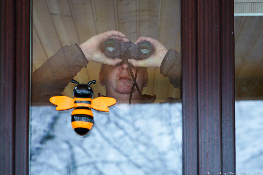 Самовар и прорубь: как проводят зиму калининградские моржи