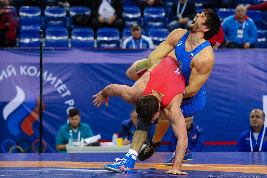 Просто мощь: чемпионат России по греко-римской борьбе идет в Калининграде (фото)