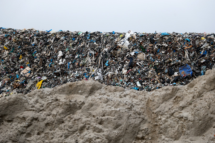 Природнадзор: ЕСОО обязана заплатить в бюджет 66 млн рублей из-за манипуляций с отчетностью