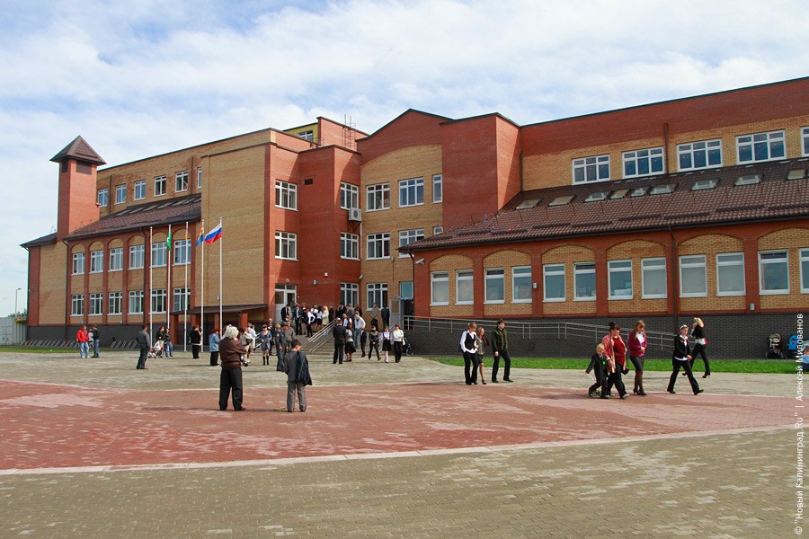 Глава СК связал нападения на школы с «садистскими сайтами»