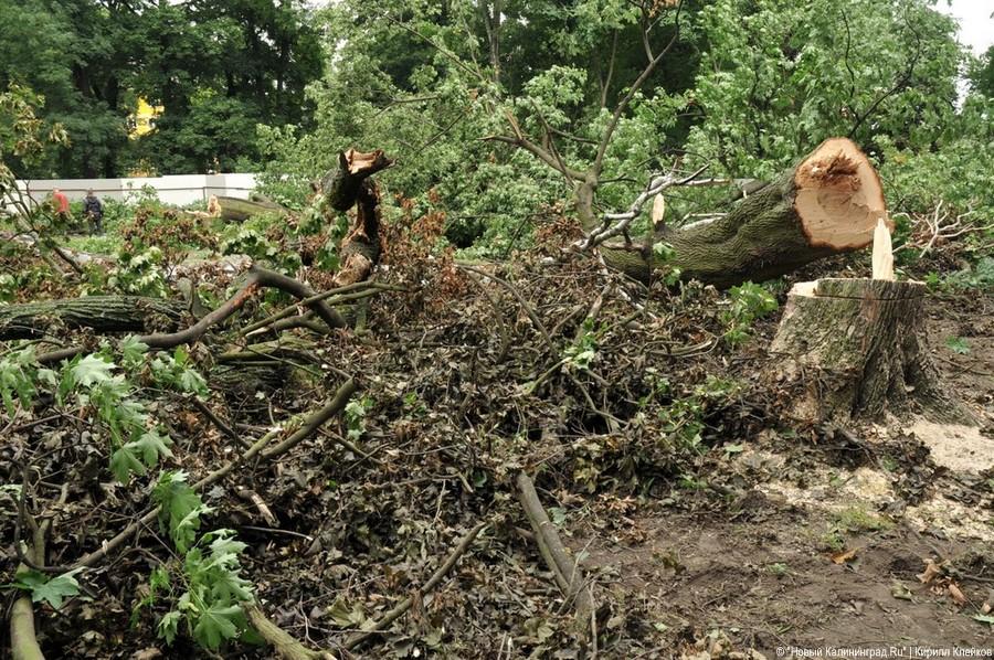 Последствия погрома на Ялтинской: фоторепортаж "Нового Калининграда.Ru"