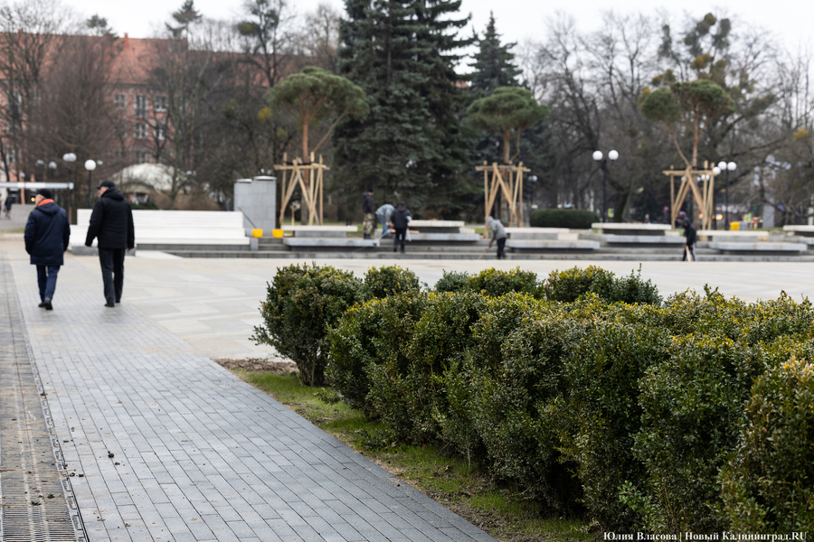 В трех соснах: как выглядит благоустроенная территория у стадиона «Балтика» (фото)