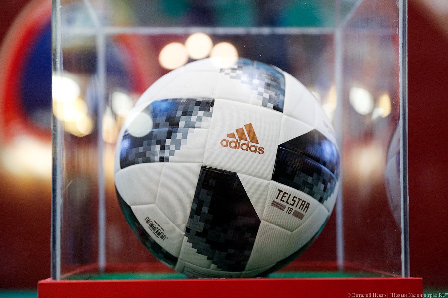 Фото — Виталий Невар, «Новый Калининград»