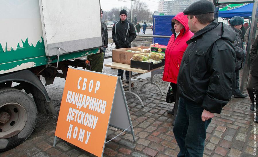 "Еле митинг": фоторепортаж "Нового Калининграда.Ru"