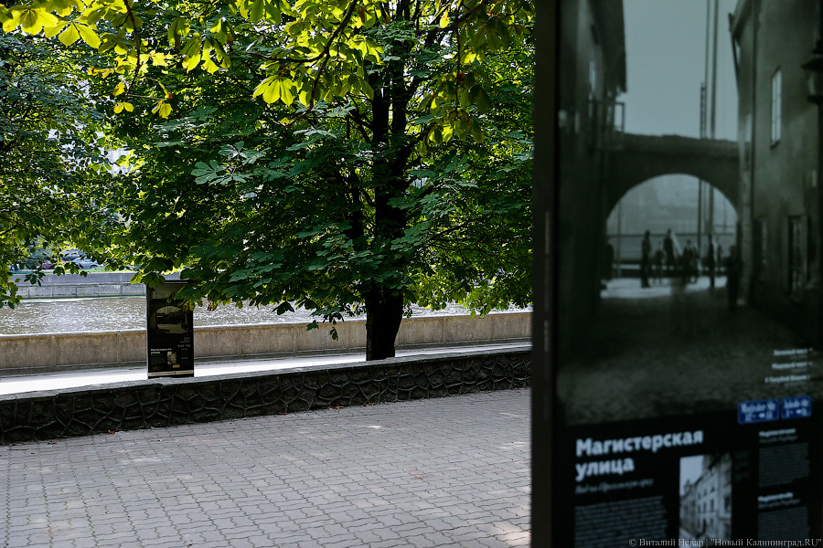 Прогулки по Кнайпхофу: о чём рассказывают новые стенды на острове Канта