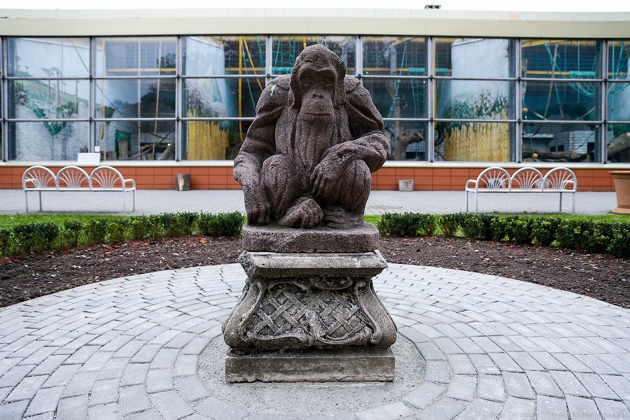 Фото — Виталий Невар, «Новый Калининград.Ru»