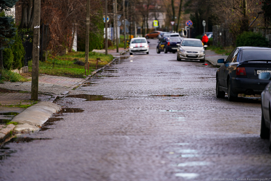 Дятлова: первые платные парковки в Калининграде должны появиться «ближе к концу года»