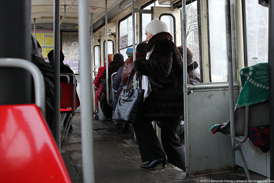 Общественный транспорт Калининграда на день «пропадёт» с онлайн-карт