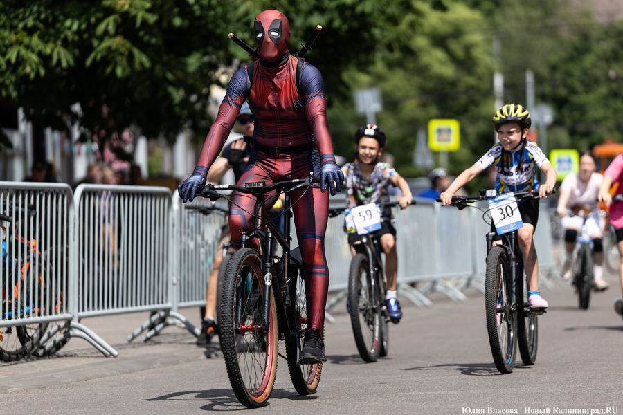 «Море положительных эмоций»: в Калининграде прошёл велопарад «День колеса» (фото)