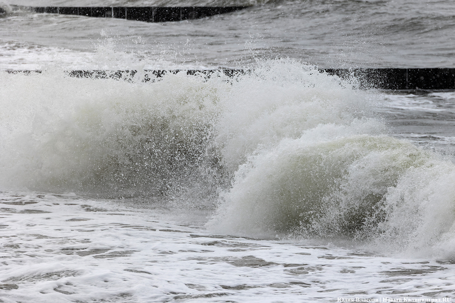 Штормовая вселенная: как циклон «Золтан» накрыл Зеленоградск (фото)