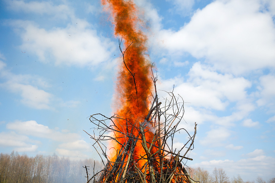 «Никакого открытого огня!»: в регионе продлили особый противопожарный режим