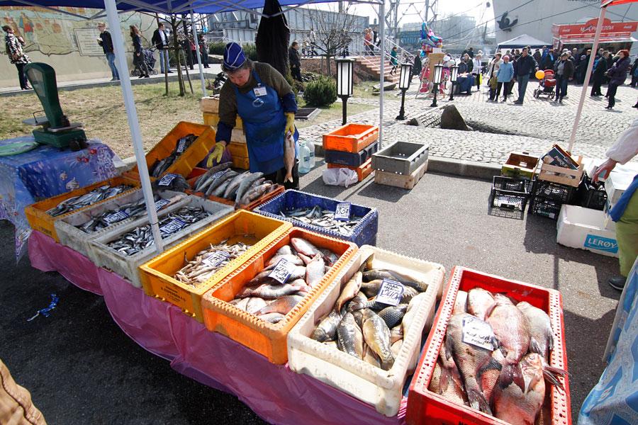 «Международный рыбный день»: фоторепортаж с Дня селедки