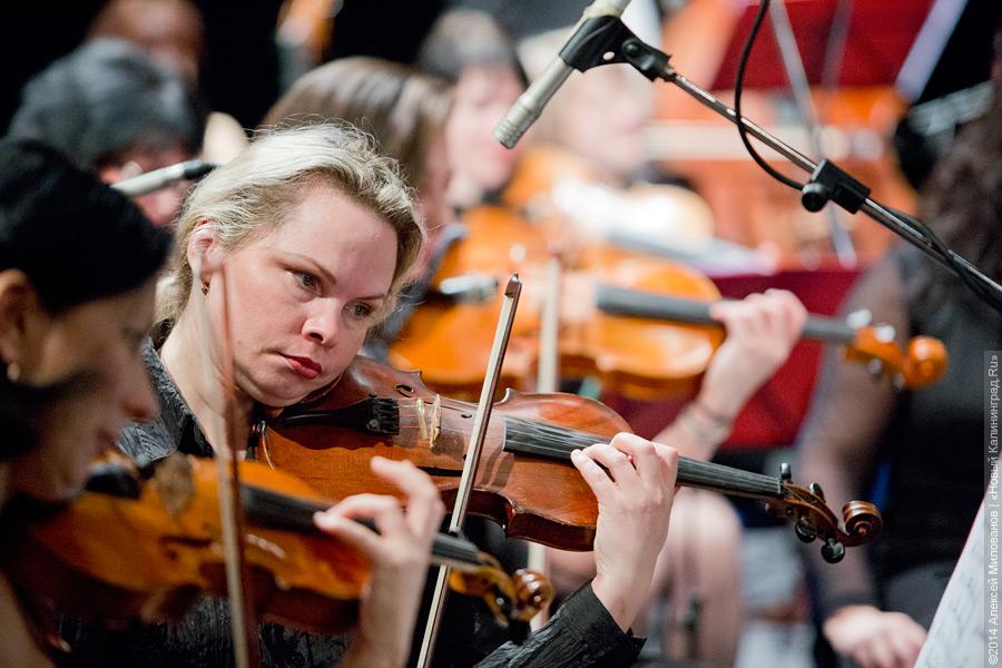 Алексей Милованов / Новый Калининград