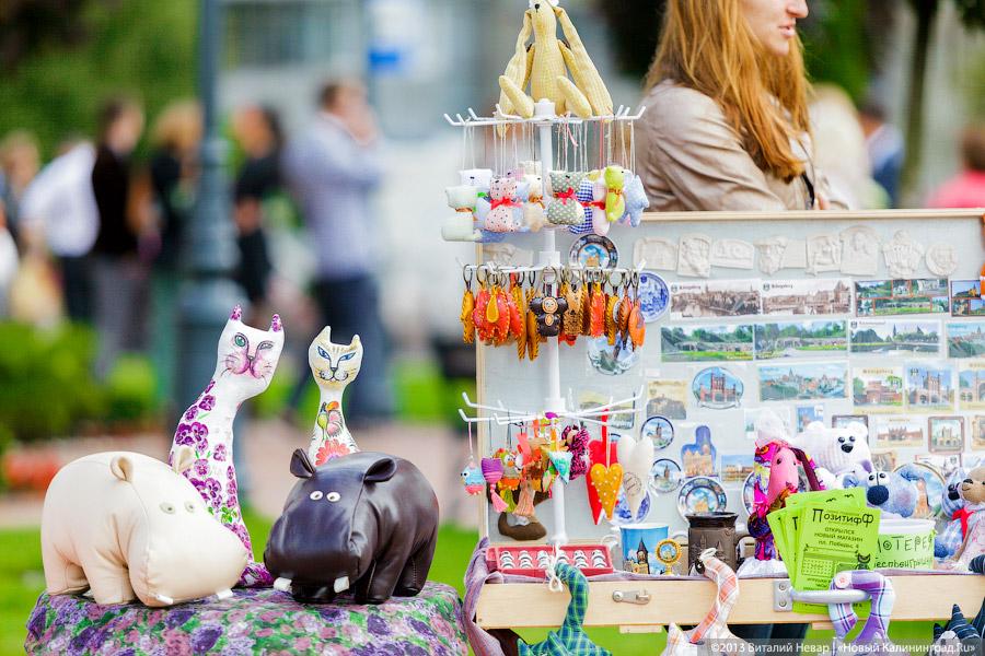 Кот — друг человека: в Калининграде отметили очередной кошачий праздник