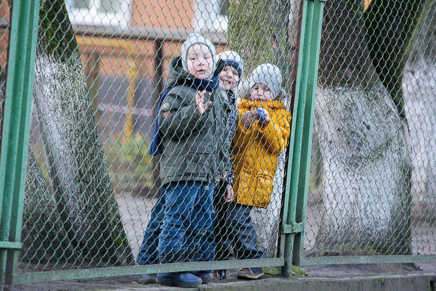Госдума заказывает за 9 млн руб. исследование о создании в РФ «общества нового типа»
