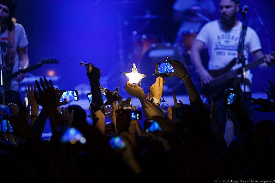 Фото — Виталий Невар, «Новый Калининград.Ru»